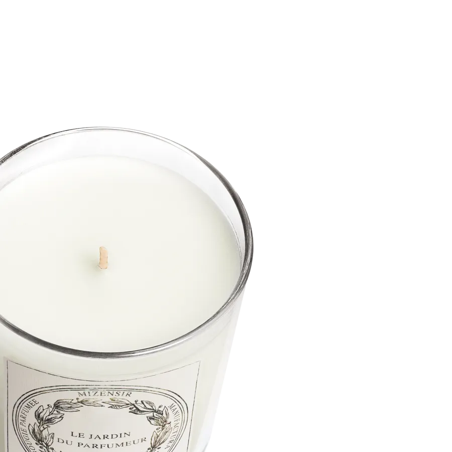 Mizensir Trèfle Sauvage duftlys 230g grøn