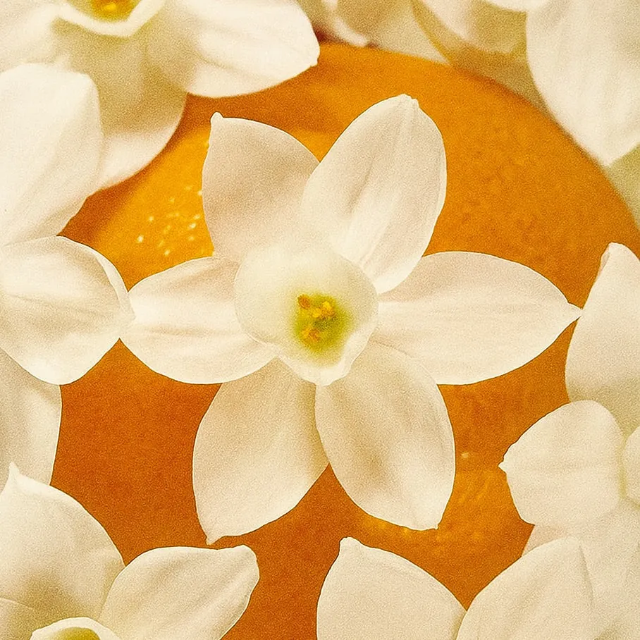 Mizensir Soleil d'Eté duftlys 230 g blomstret