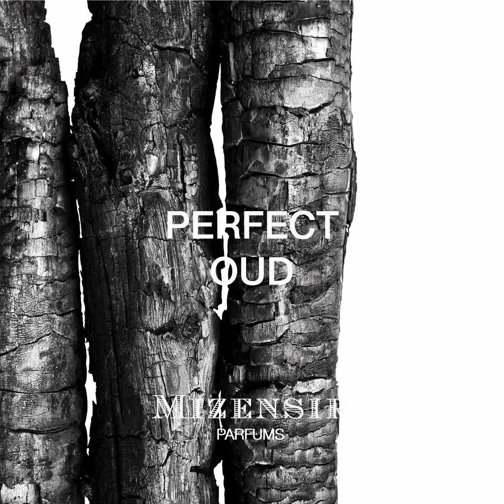 Mizensir Perfect Oud travelspray træagtig