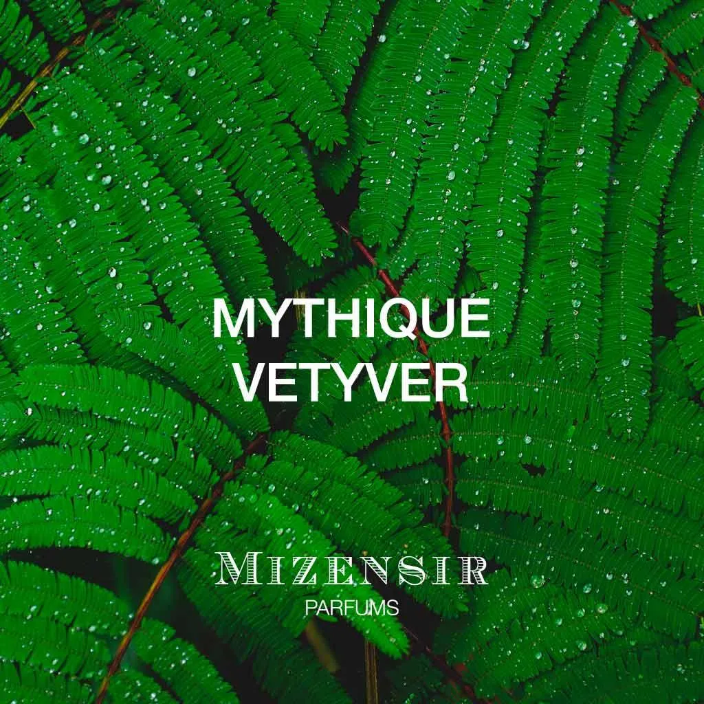 Mizensir Mythique Vetyver parfume refill træagtig